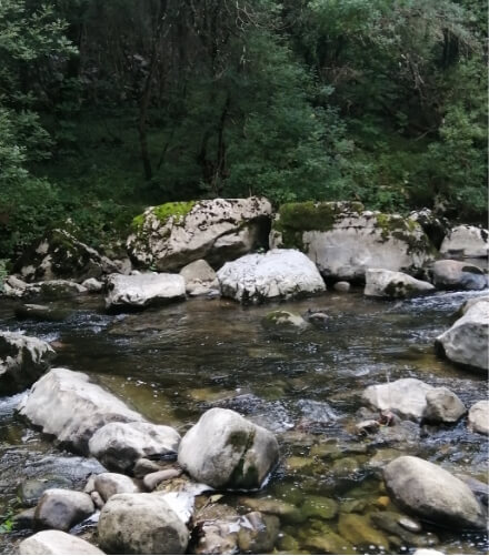 Randonnées dans les Gorges de l’Ardèche