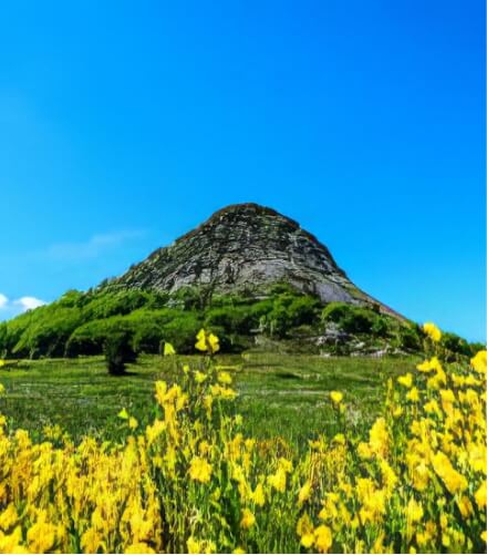 Mont Gerbier-de-Jonc hiking trail